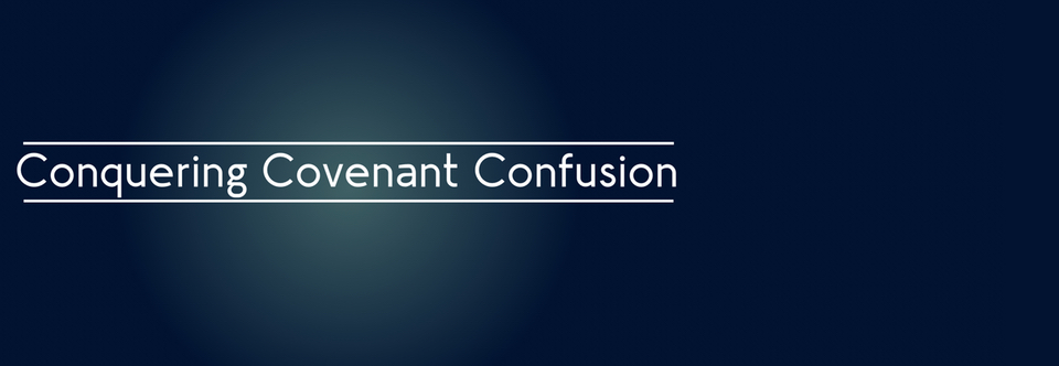 Special Series Hi-Lite