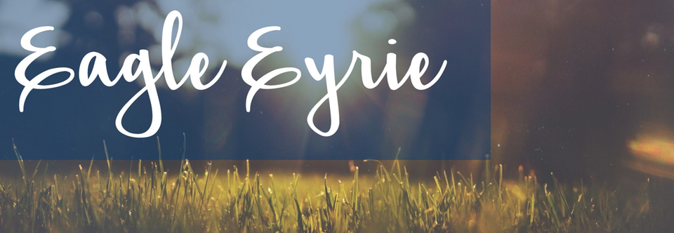 Church Fellowship @ Eagle Eyrie
