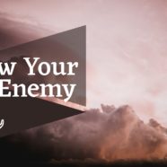 Wednesday Night Summer Series