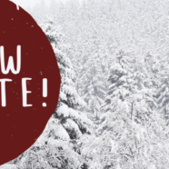 Sunday Morning / Jan 31 2021