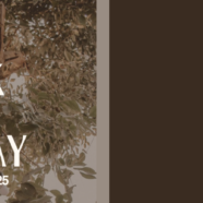 Daylight Savings Time Ends